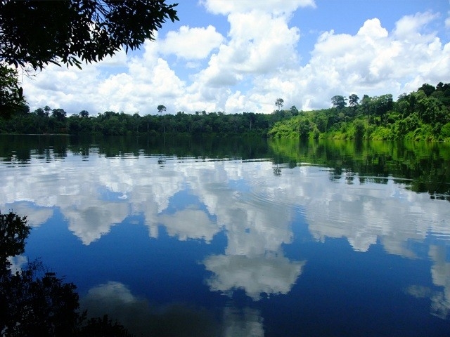 attraction-Boeng Yeak Loam At Morning Time.jpg